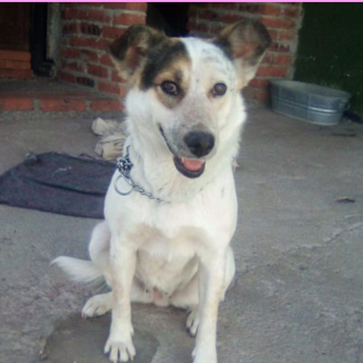 Foto de SOPHY