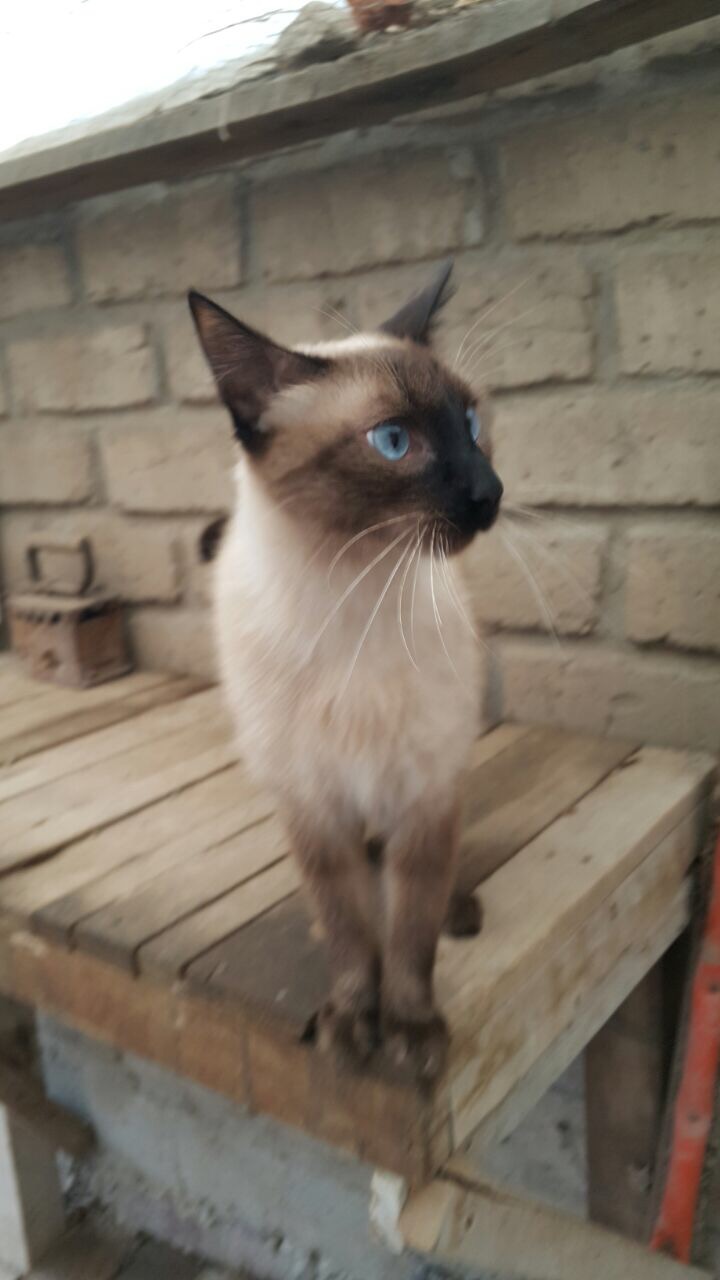 Foto de CAMILO
