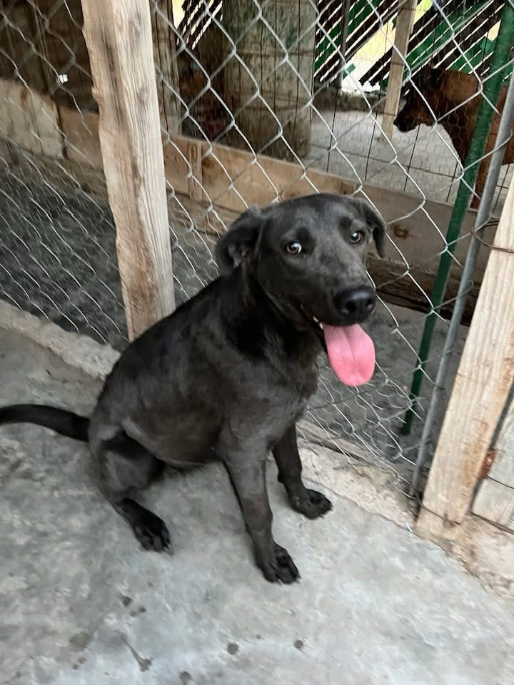 Foto de FRIDA