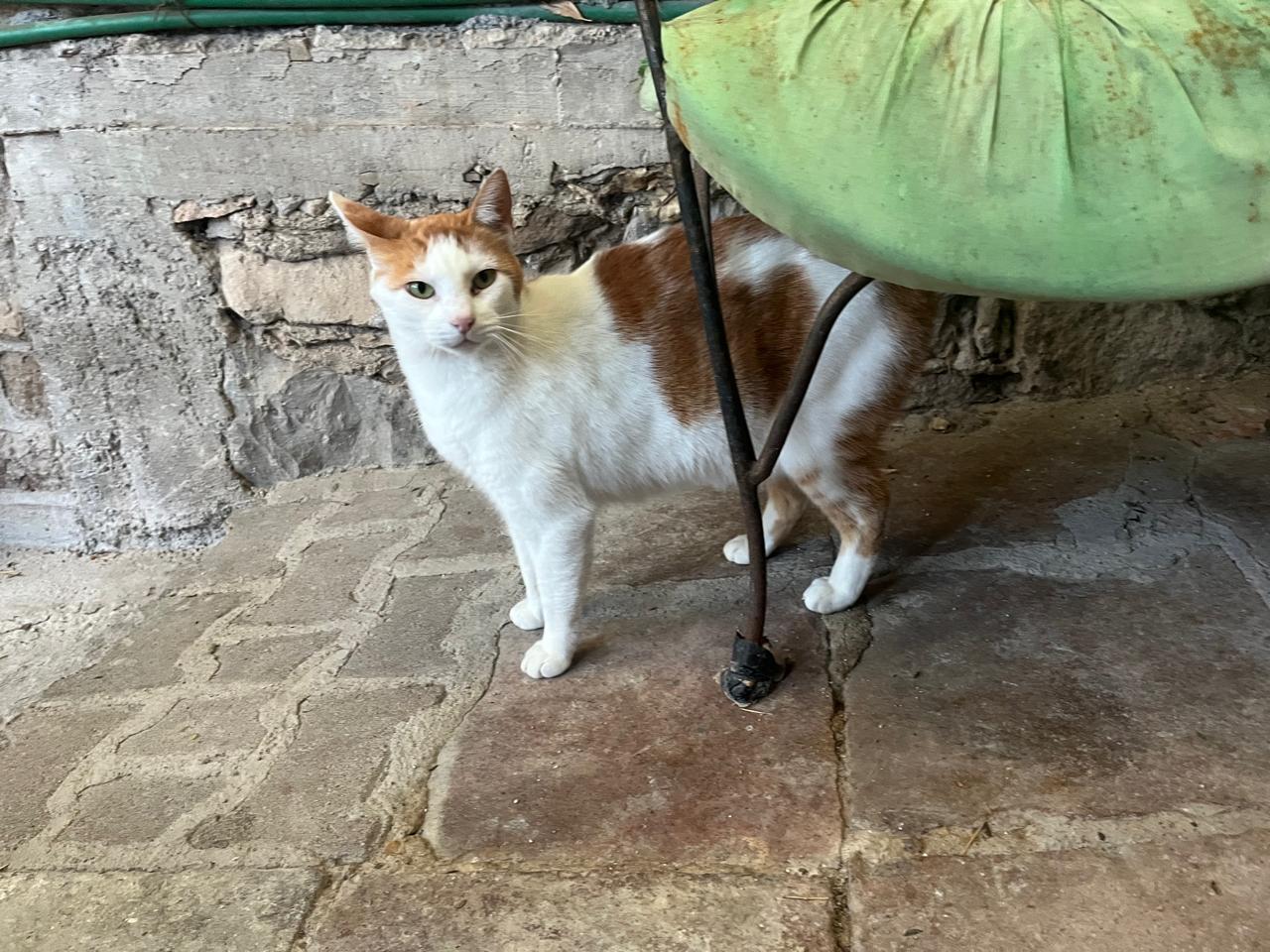 Foto de HUGO