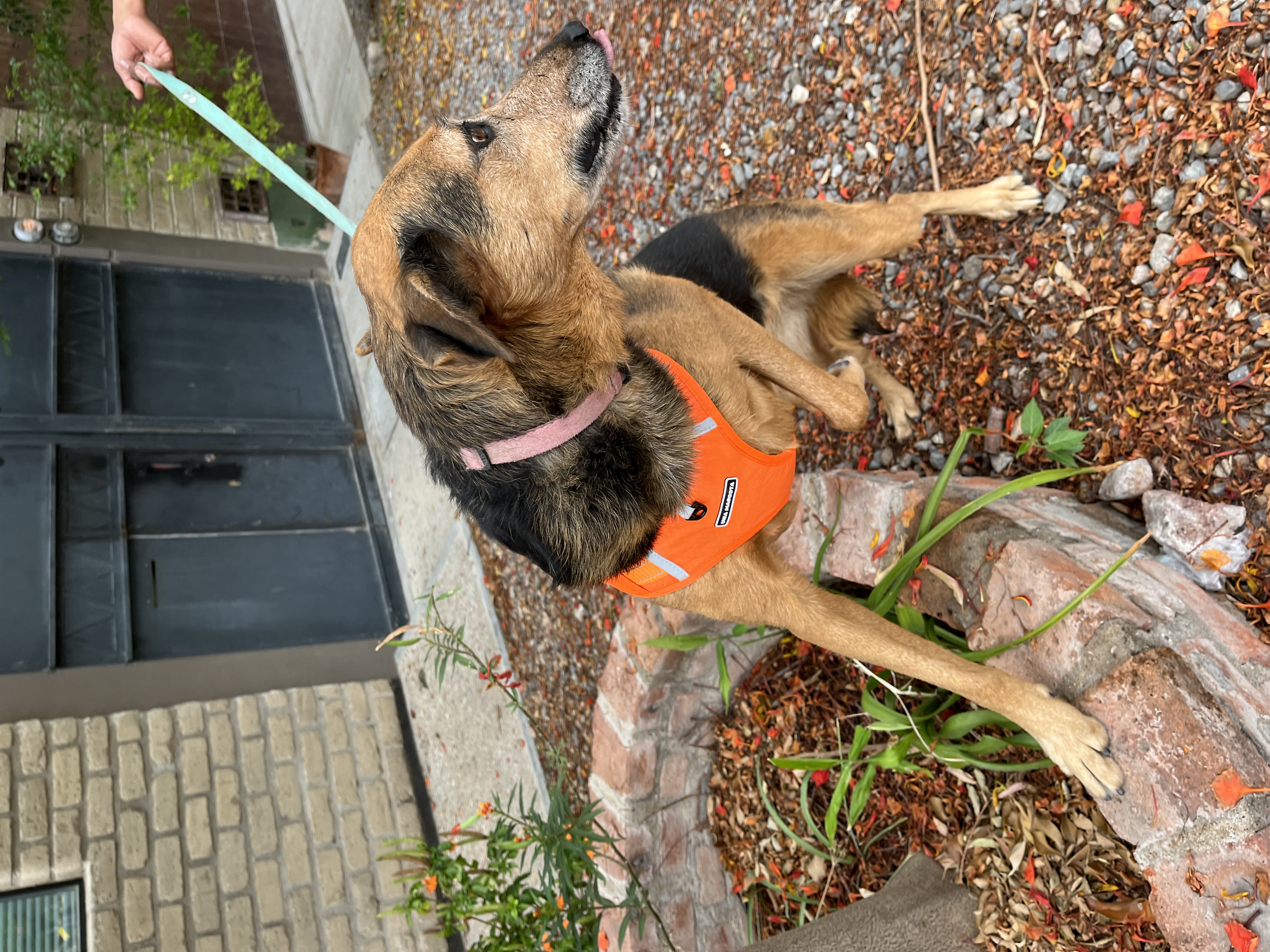 Foto de NINA