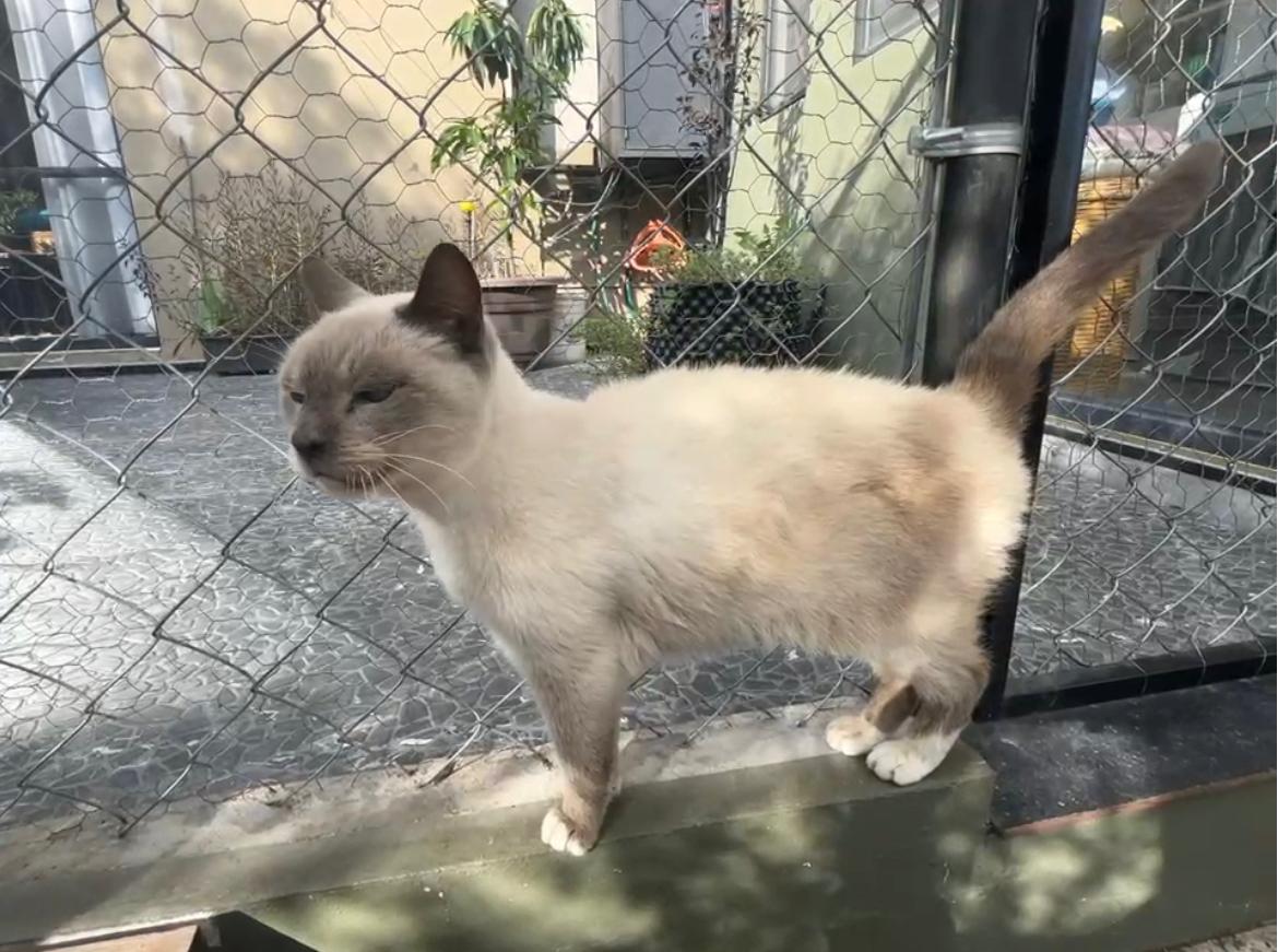 Foto de GUAPO