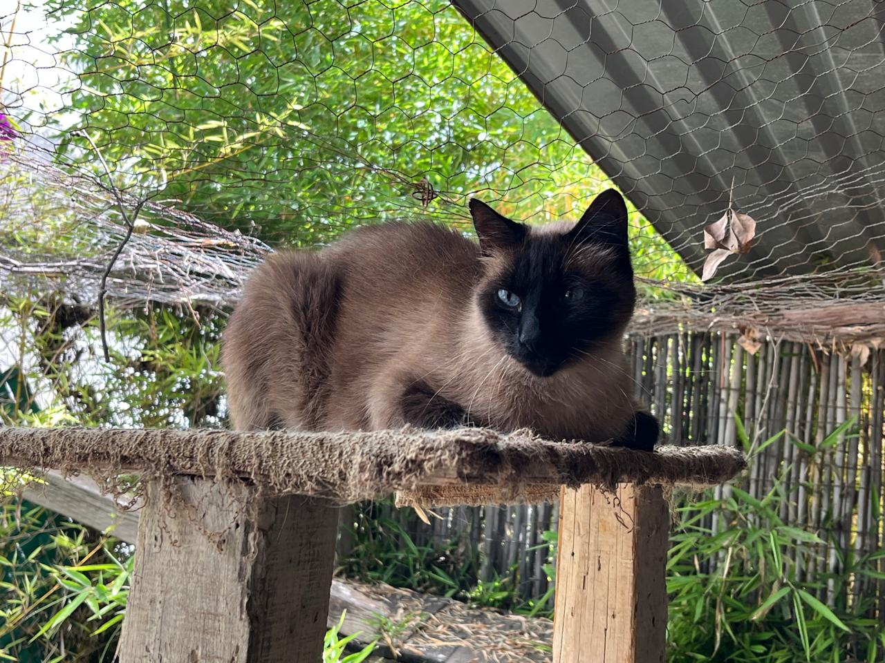 Foto de CAMILO