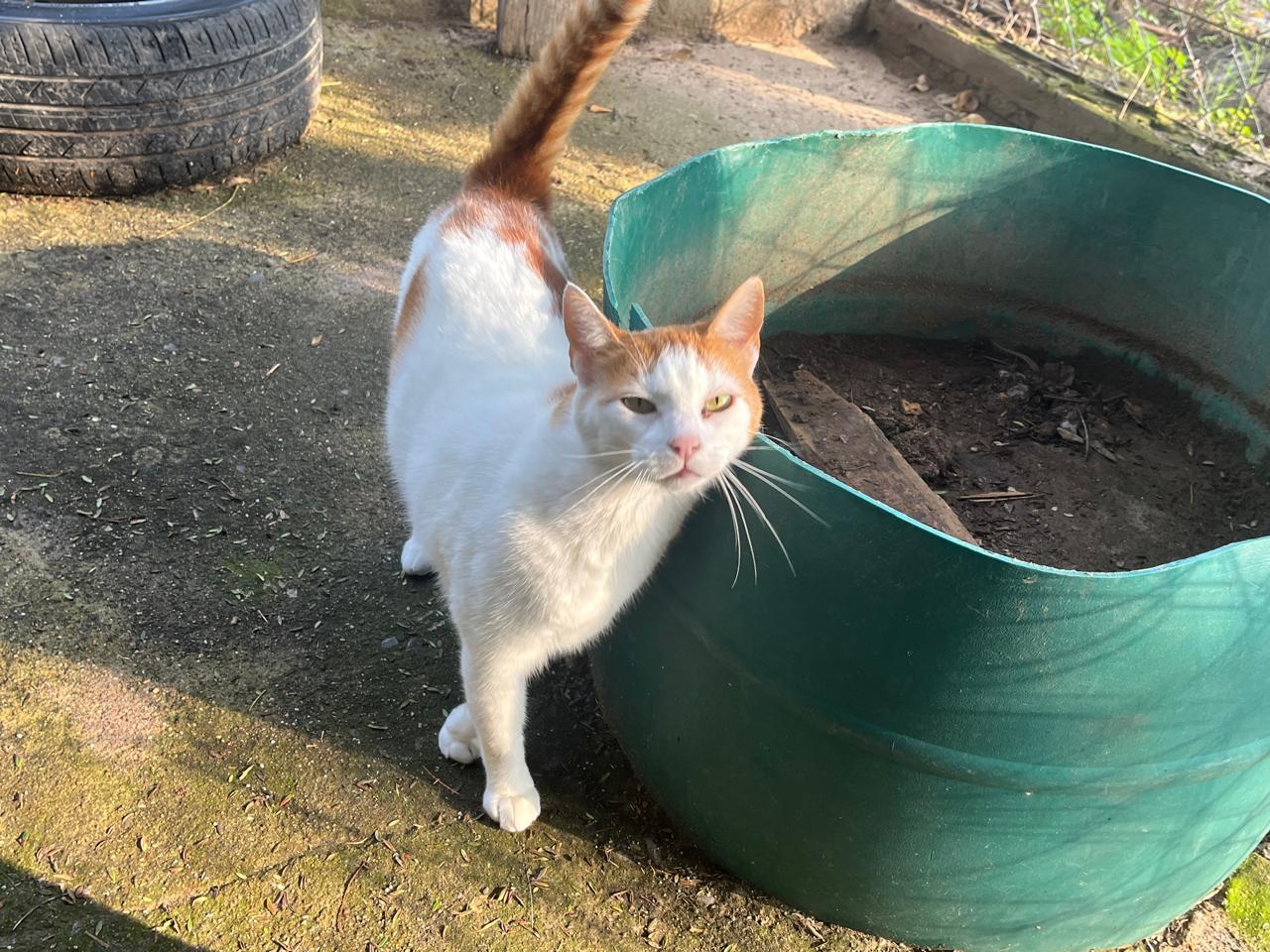 Foto de HUGO
