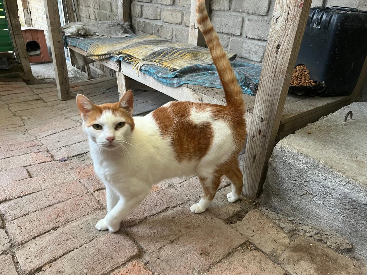 Foto de HUGO