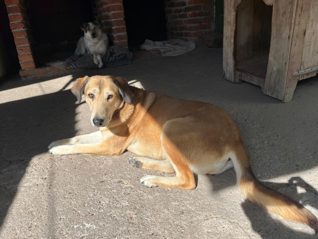 Foto de BLANCA