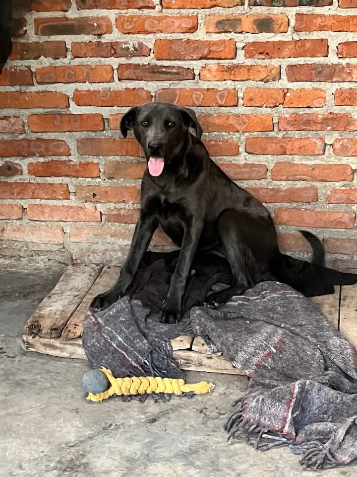 Foto de FRIDA