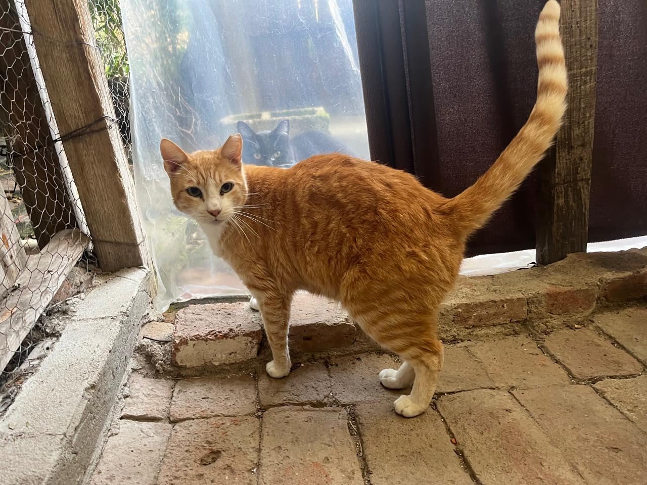 Foto de AMBAR