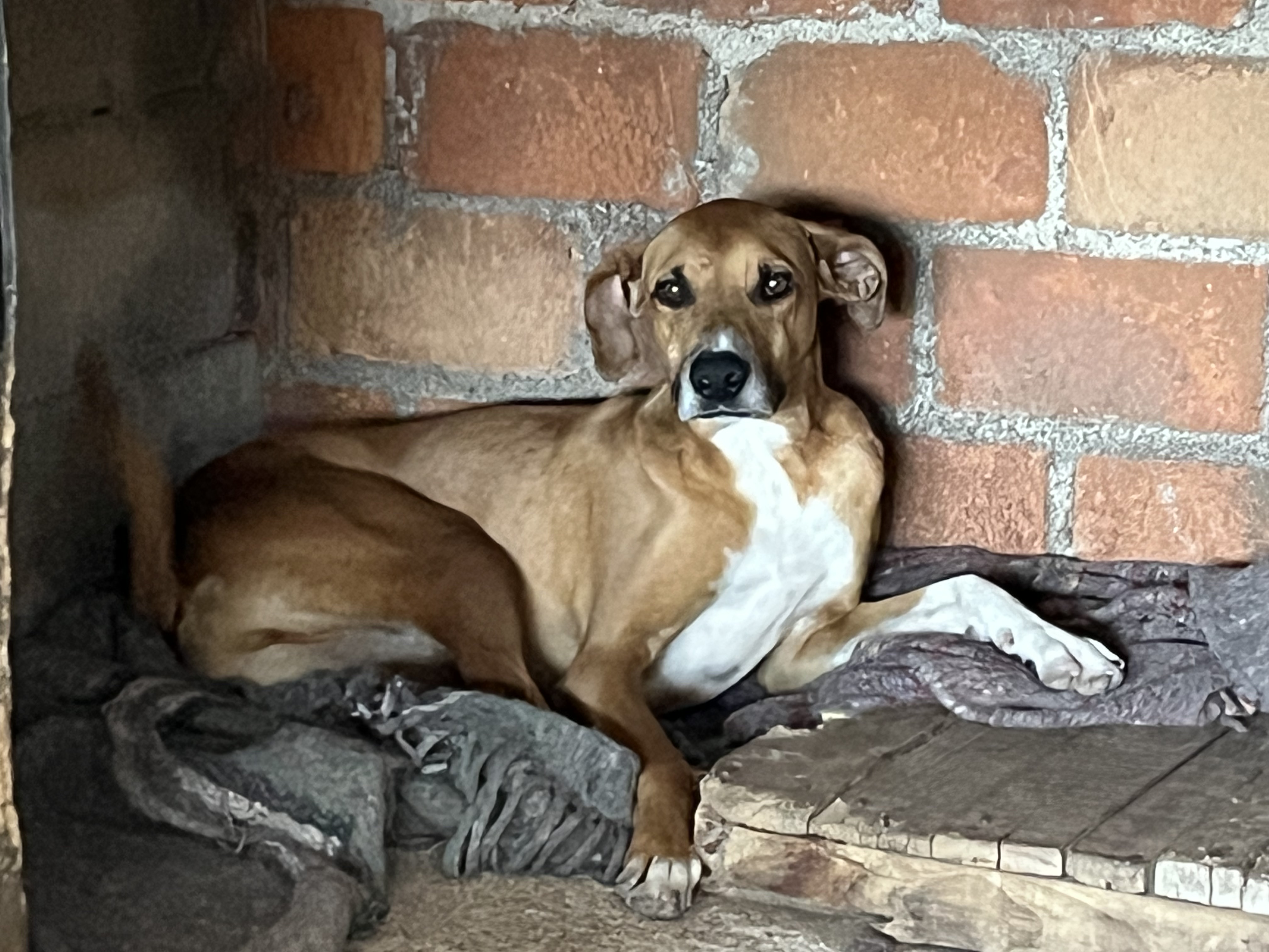 Foto de HUGO