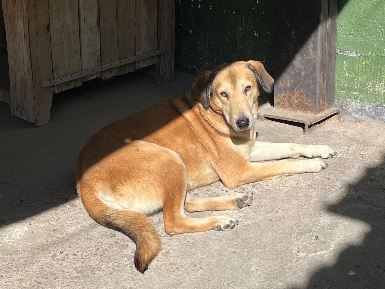 Foto de BLANCA