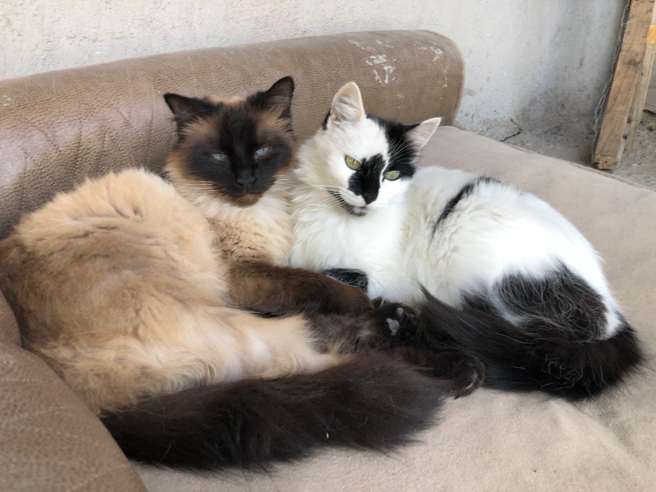 Foto de KARMA