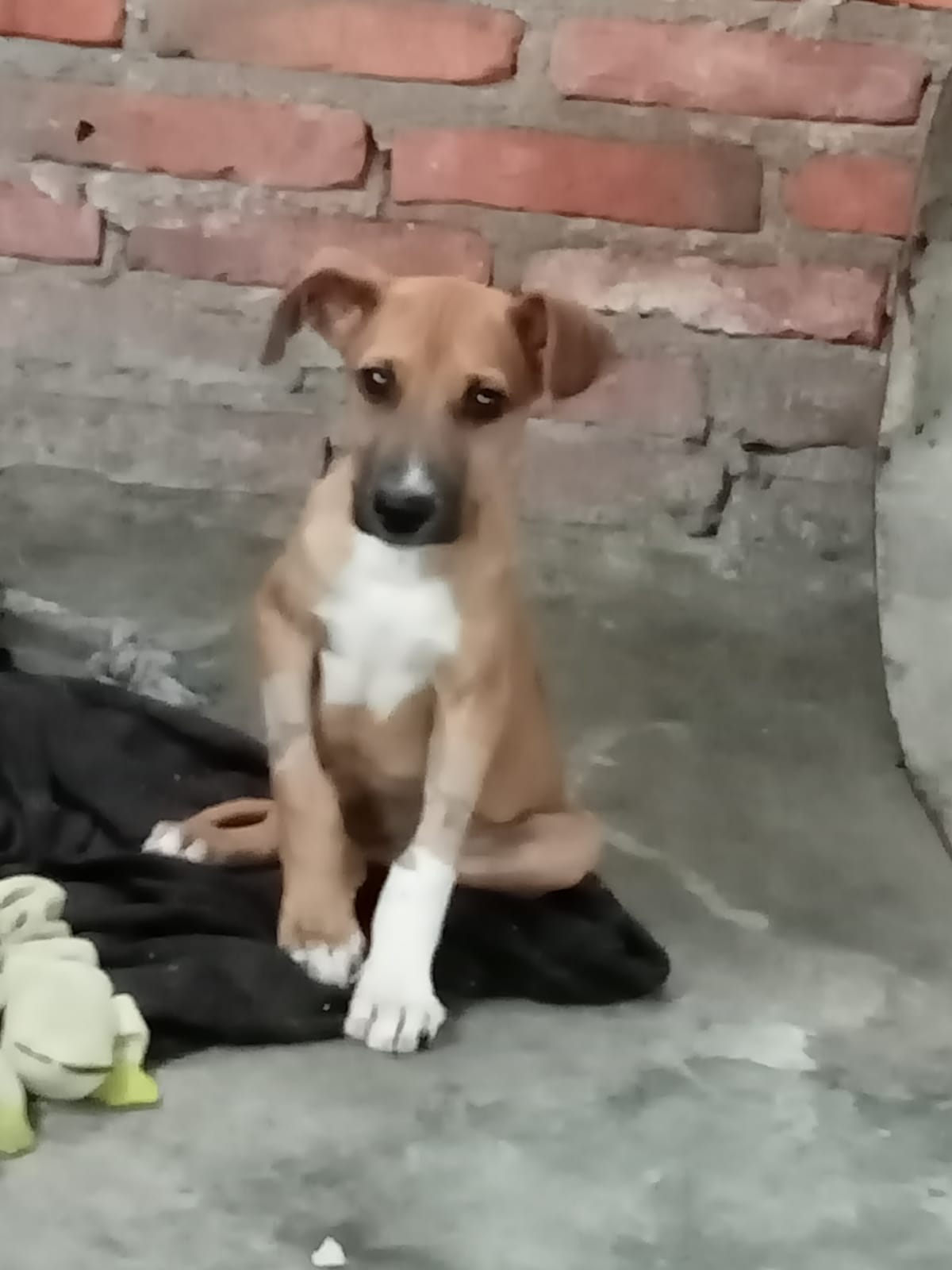 Foto de HUGO
