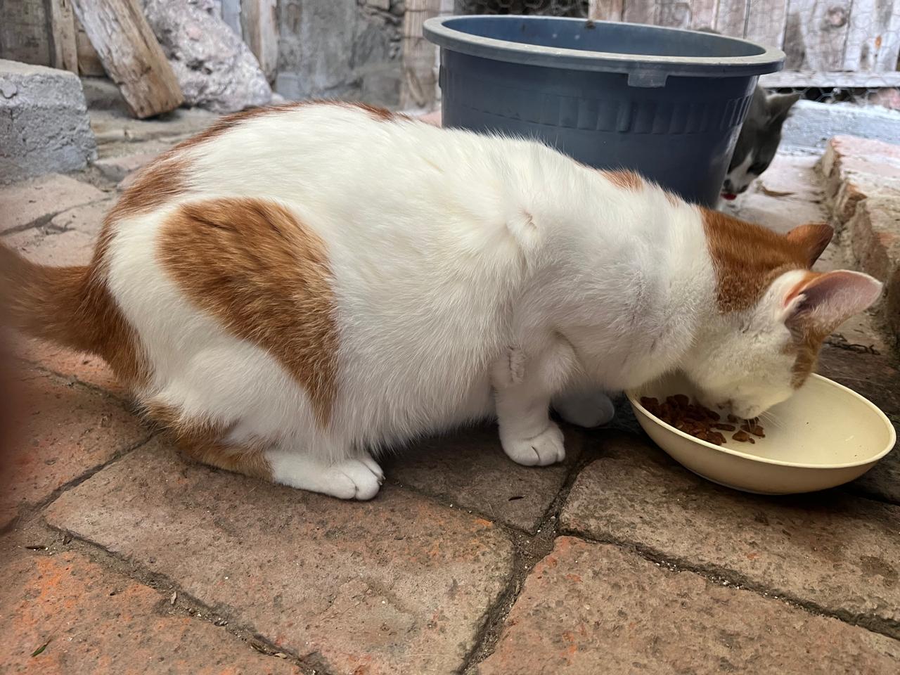 Foto de HUGO