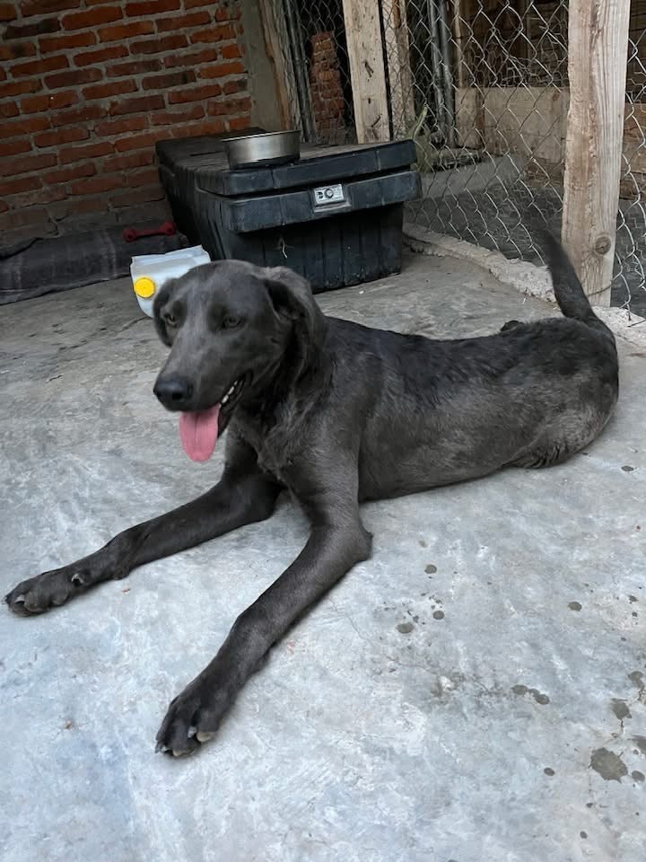 Foto de FRIDA